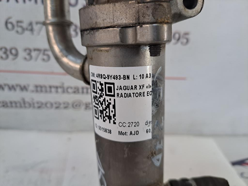 Scambiatore di calore JAGUAR XF Serie (08>11)