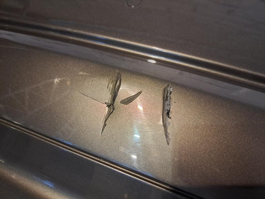 Paraurti Posteriore completo BMW Serie 5 F10
