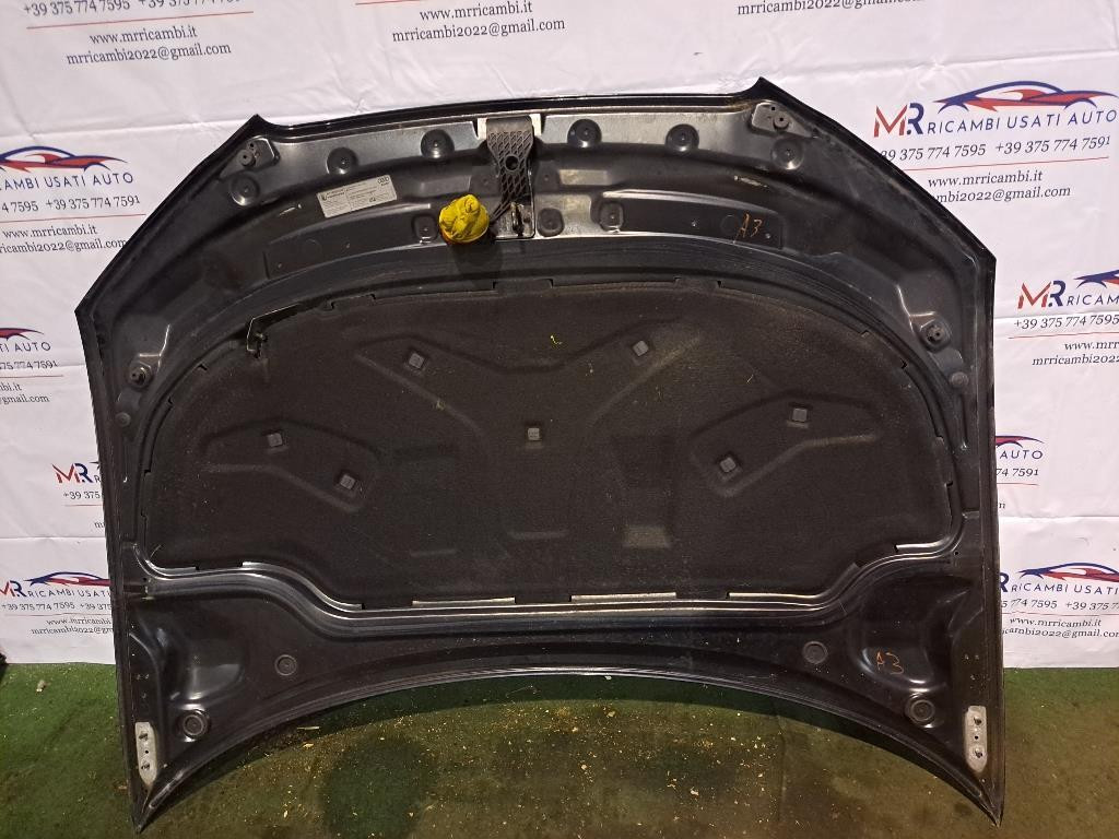 Cofano Anteriore AUDI A3 Serie (8P1) (08>12)