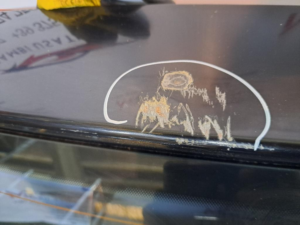 Portellone Posteriore SEAT Ibiza Serie (08>12)