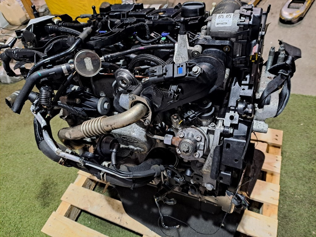 Motore FORD EcoSport Serie (12>)