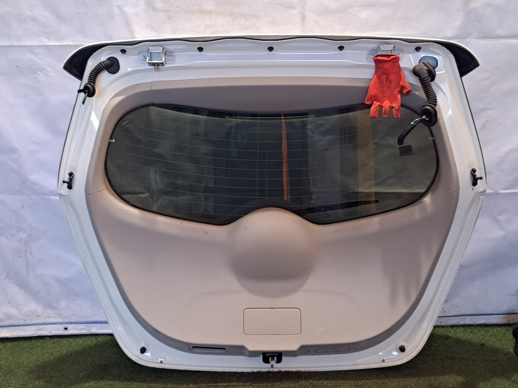 Portellone Posteriore NISSAN Leaf 1° Serie