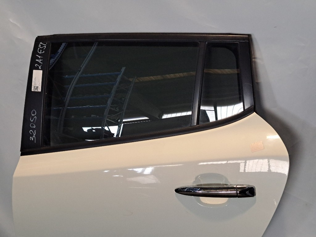 Portiera Posteriore Sinistra NISSAN Leaf 1° Serie