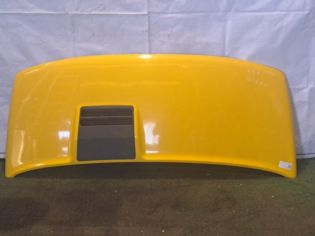 Cofano Anteriore IVECO Daily 35.10 (90>01)